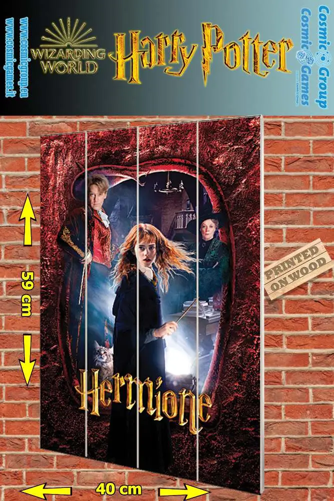 harry potter hermione wood print