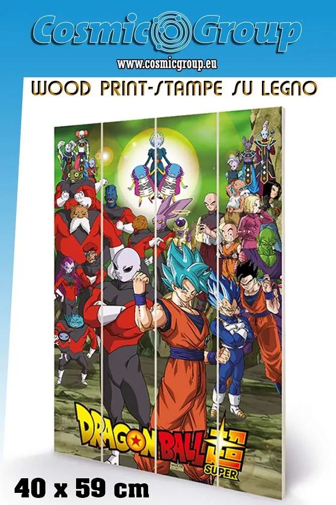 dragon ball tournament wood print
