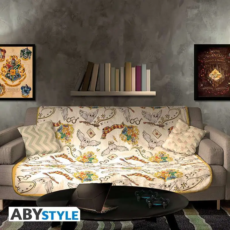 harry potter harry's world blanket