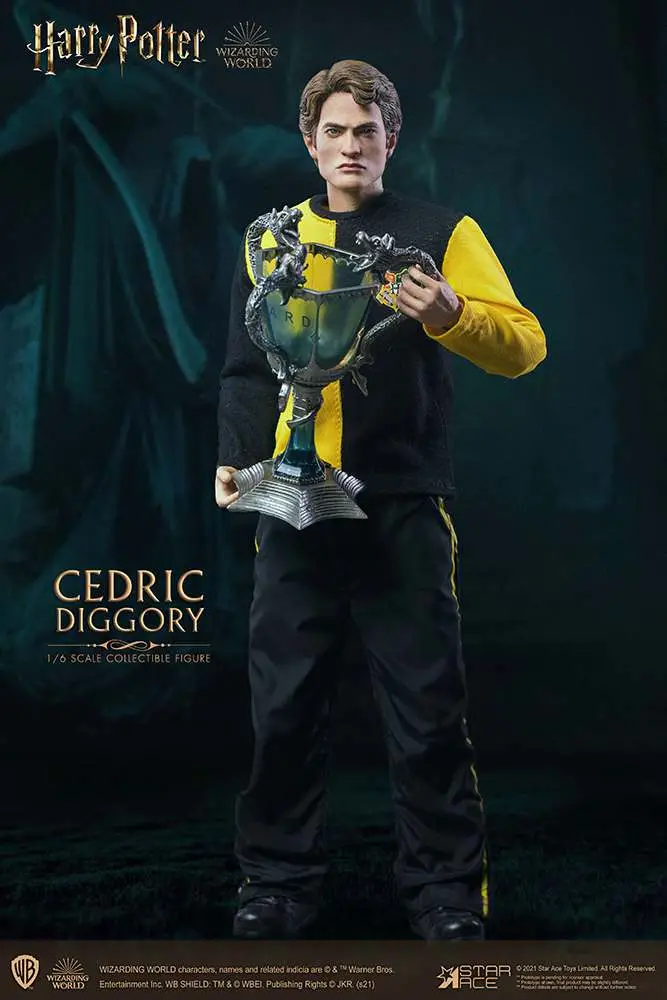 hp cedric diggory 1/6 action figure