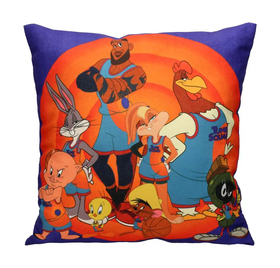 looney tunes space jam cushion