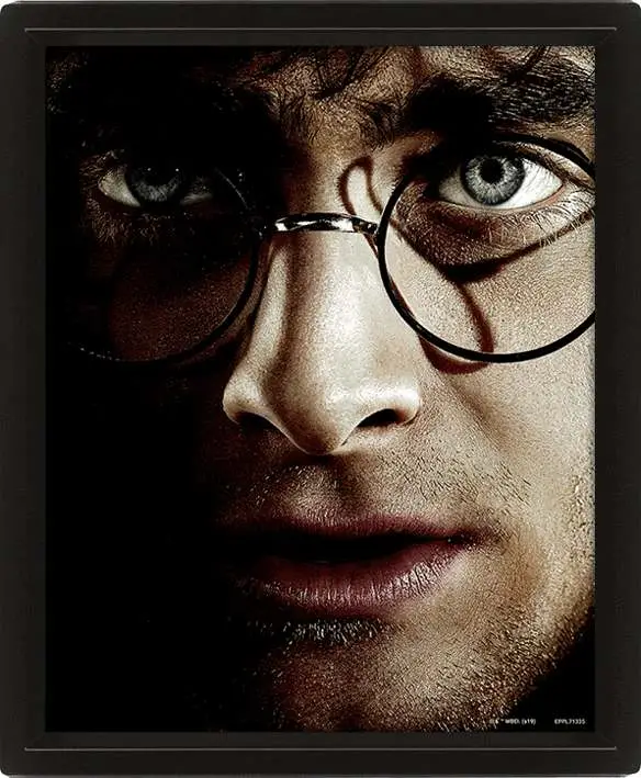 hp - harry vs. voldemort - poster 3d