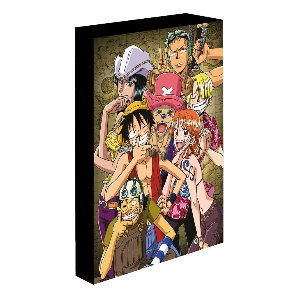 one piece light up canvas