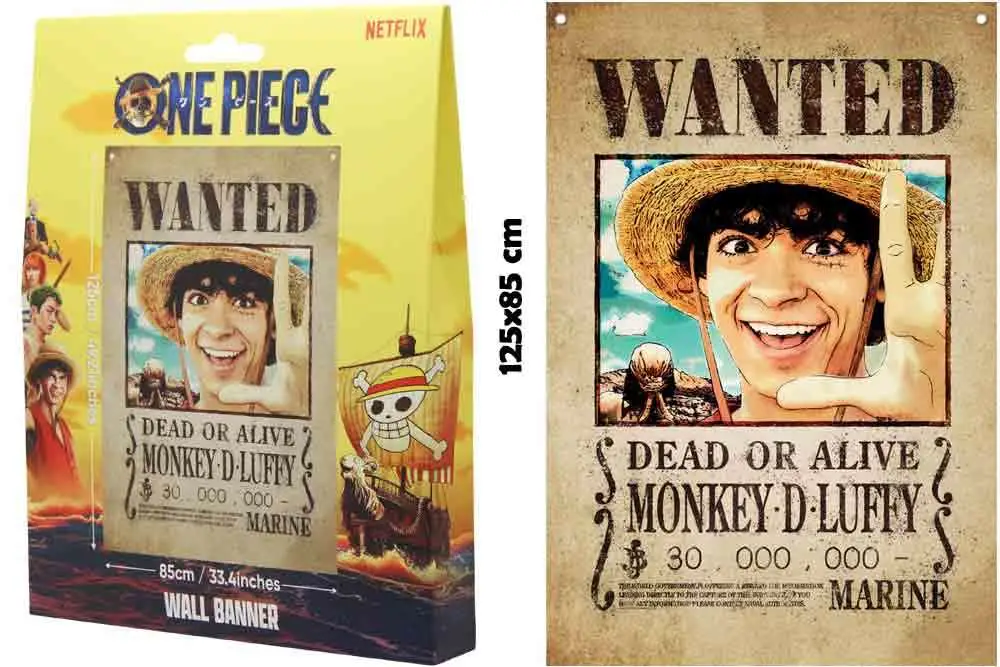 one piece - wall banner