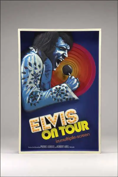 3d wall art elvis on tour