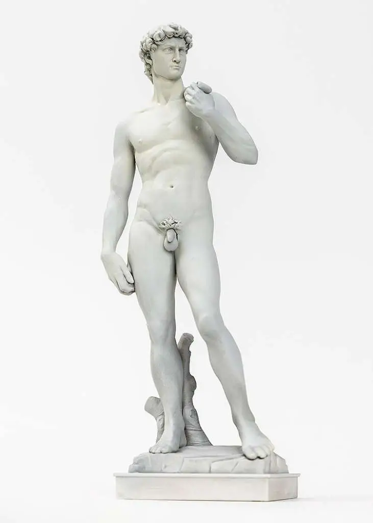 michelangelo david plastic model kit