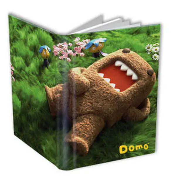 journal domo photo
