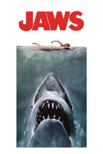 jaws beach poster towel