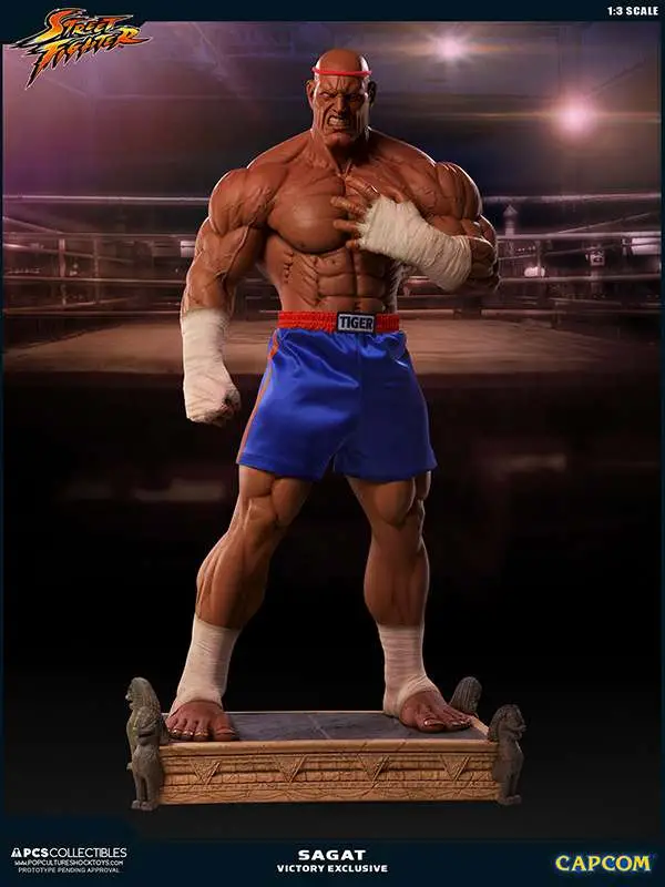 street fighter sagat victory 1:3 ex st