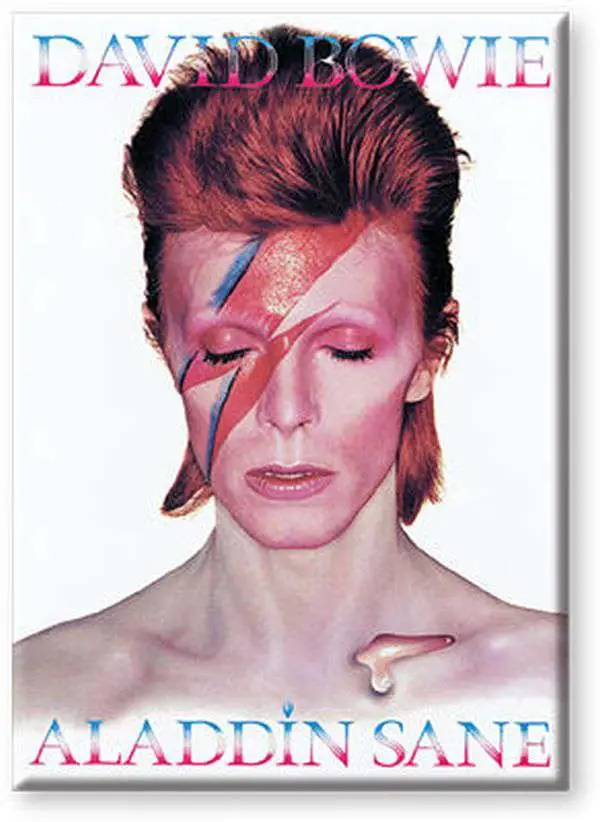 bowie aladdin sane flat magnet