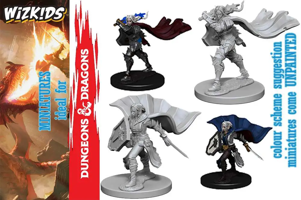 pathfinder dcum human female paladin