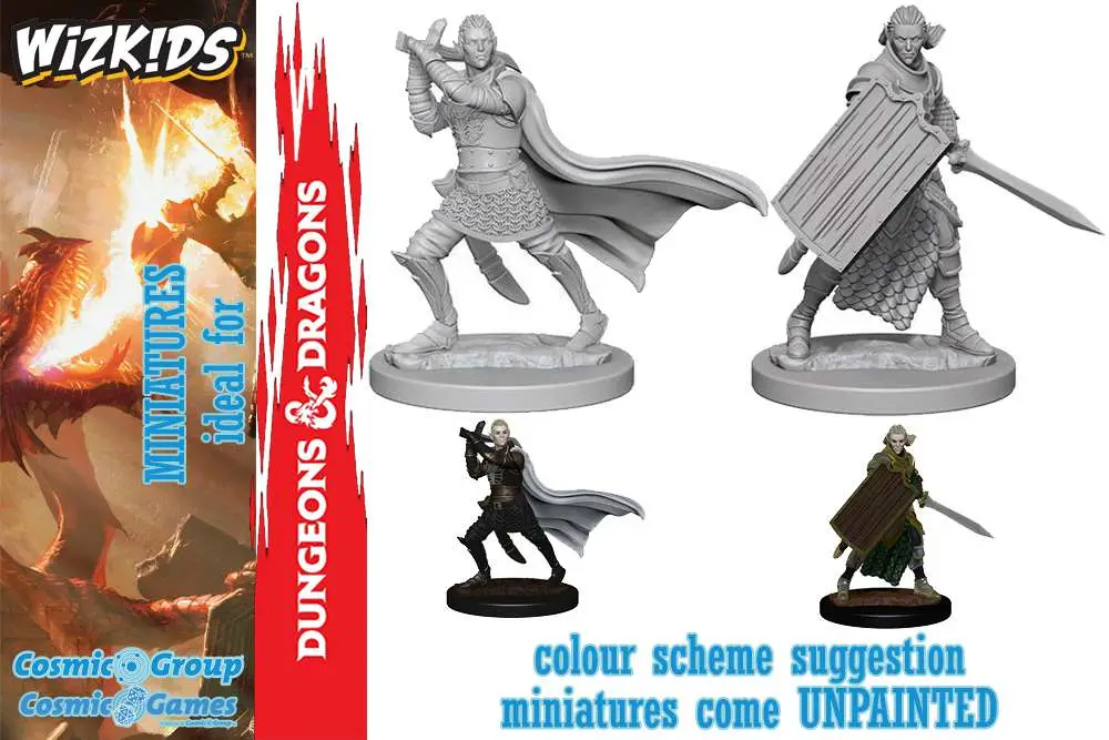 pathfinder dcum elf male paladin